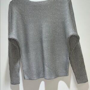 Ralph Lauren Metallic Gray Women's Sweater Size Small
Oversized